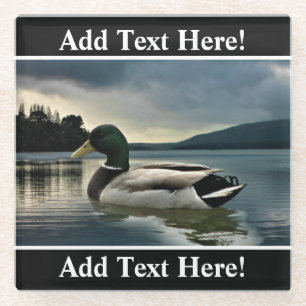 Mallard Duck On The Lake Glass Coaster