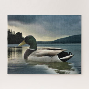 Mallard Duck On The Lake Jigsaw Puzzle