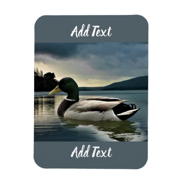 Mallard Duck On The Lake Magnet (Vertical)