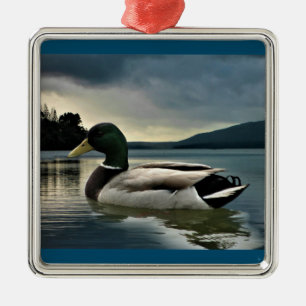 Mallard Duck On The Lake Metal Ornament