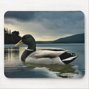 Mallard Duck On The Lake Mouse Pad