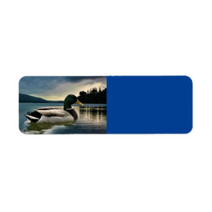 Mallard Duck On The Lake Return Address Label