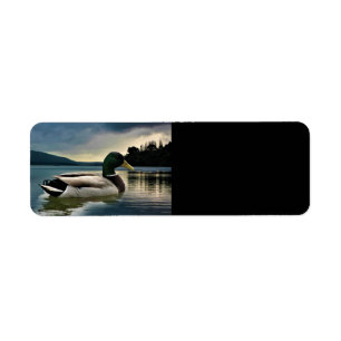 Mallard Duck On The Lake Return Address Label