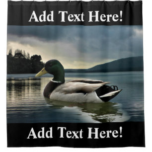 Mallard Duck On The Lake Shower Curtain