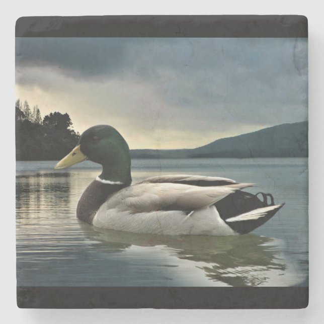 Mallard Duck On The Lake Stone Coaster (Front)