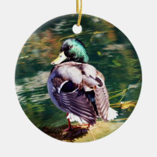 Mallard Duck Ornament