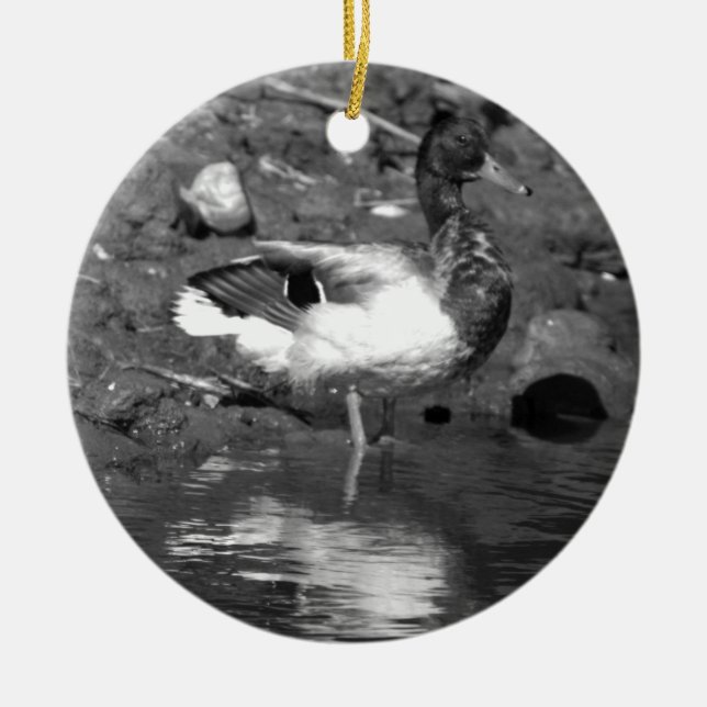 Mallard Duck Ornament  (Front)