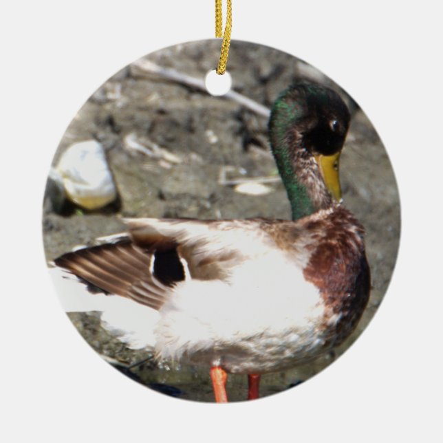 Mallard Duck Ornament  (Front)