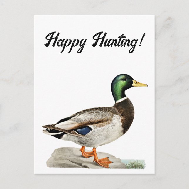 Mallard Duck Painting for Hunters and Outdoorsmen Postcard (Front)