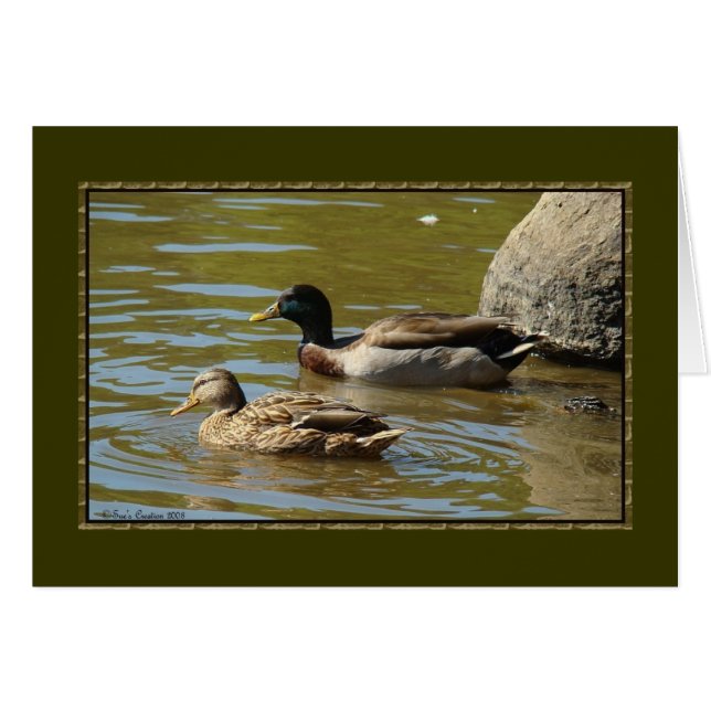 Mallard Duck Pair (Front Horizontal)