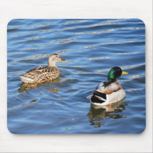 Mallard Duck Pairs Symbolise Love and Commitment Mouse Pad