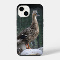 Mallard Duck Phone Case