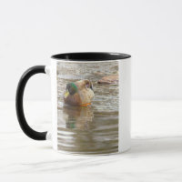 Mallard Duck Photo Mug