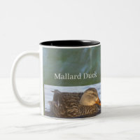 Mallard Duck Photo Mug