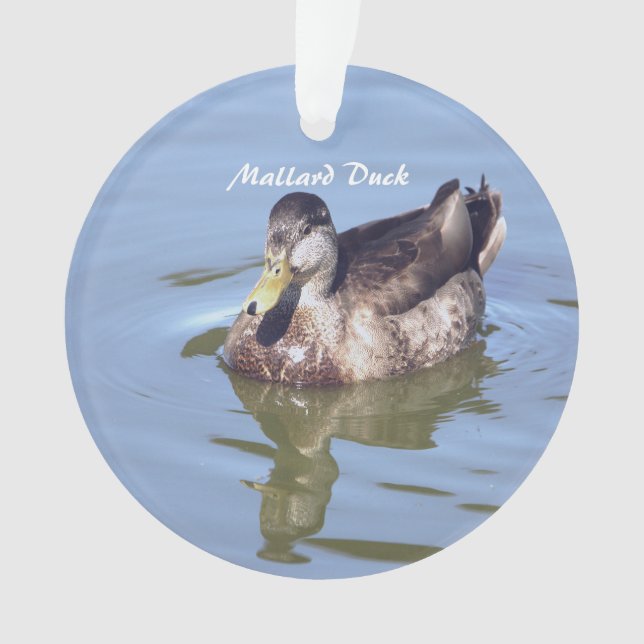Mallard Duck Photo Ornament  (Front)