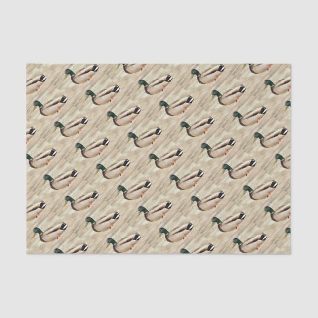 Mallard Duck Photo Tissue Paper (Front)
