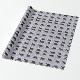 Mallard Duck Photo Wrapping Paper