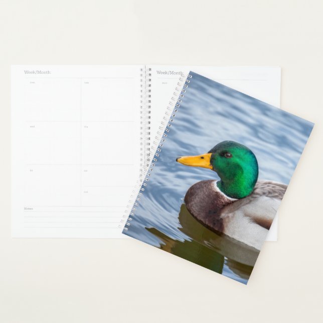 Mallard Duck Planner (Display)