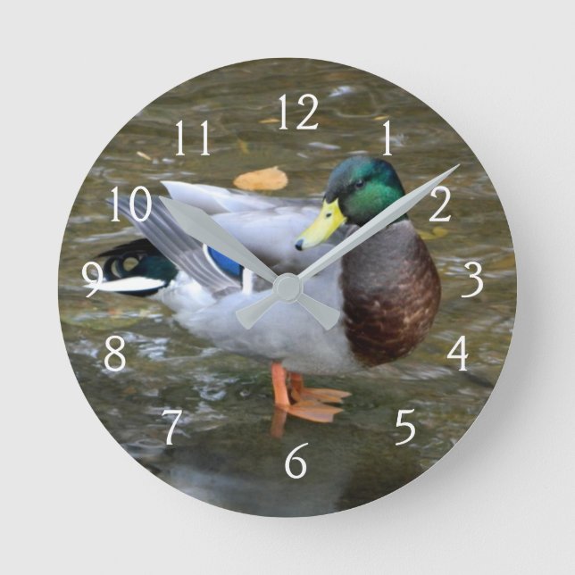 Mallard Duck Portrait Round Clock (Front)