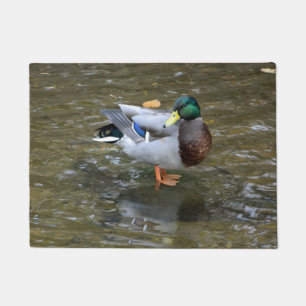 Mallard Duck Pose Doormat