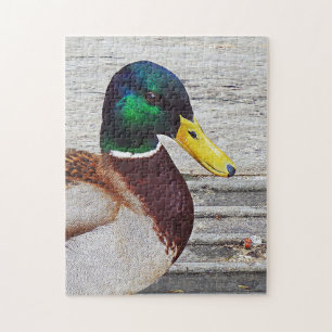 Mallard duck Puzzle