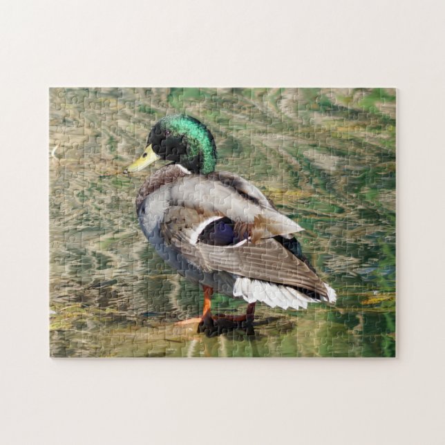 Mallard Duck Puzzle (Horizontal)