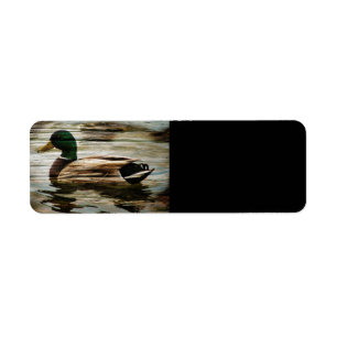 Mallard Duck Return Address Label
