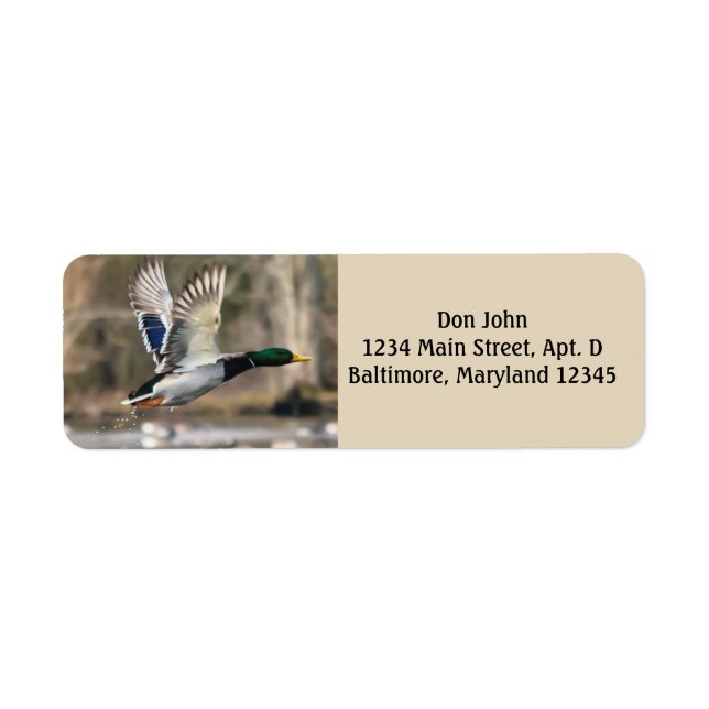 Mallard Duck Return Address Labels (Front)