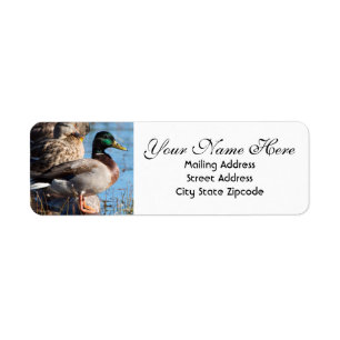 Mallard Duck Return Address Return Address Label