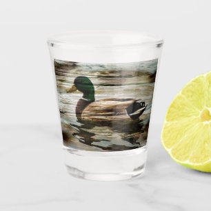 Mallard Duck Shot Glass
