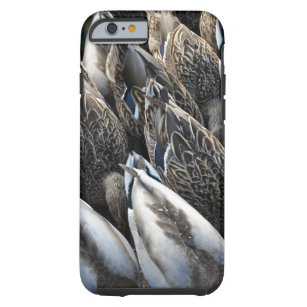 Mallard duck tails tough iPhone 6 case