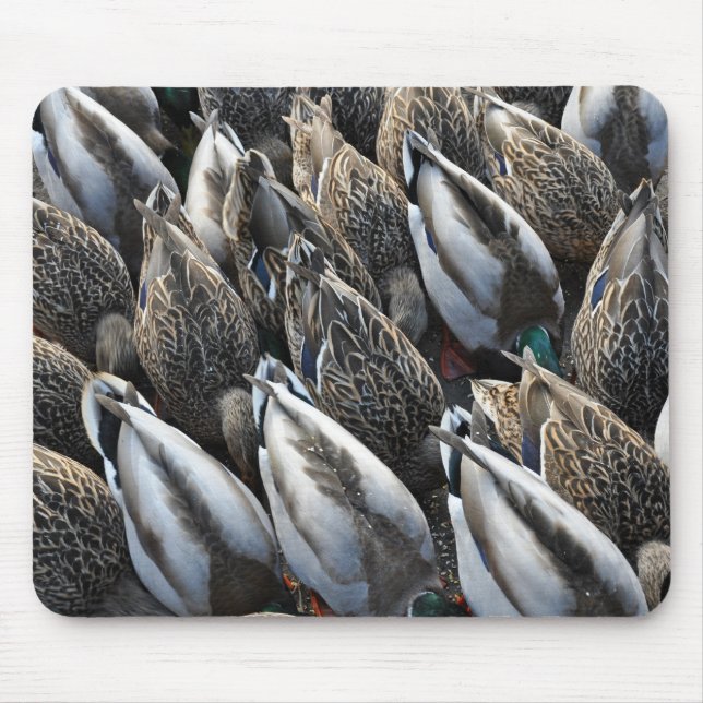 Mallard duck tails mouse pad (Front)