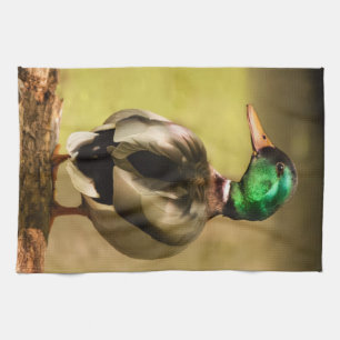 Mallard Duck Tea Towel