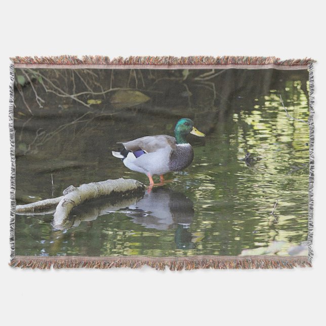 Mallard duck throw blanket (Front)