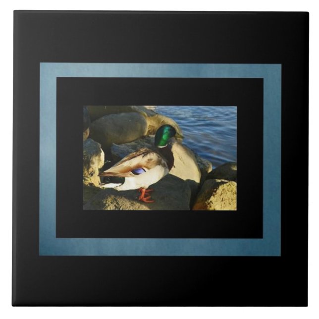 Mallard Duck Tile (Front)