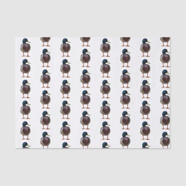 Mallard Duck Tissue Paper (Front)