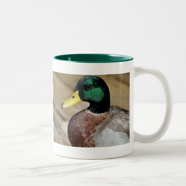 Mallard Duck Two-Tone Coffee Mug (Right)