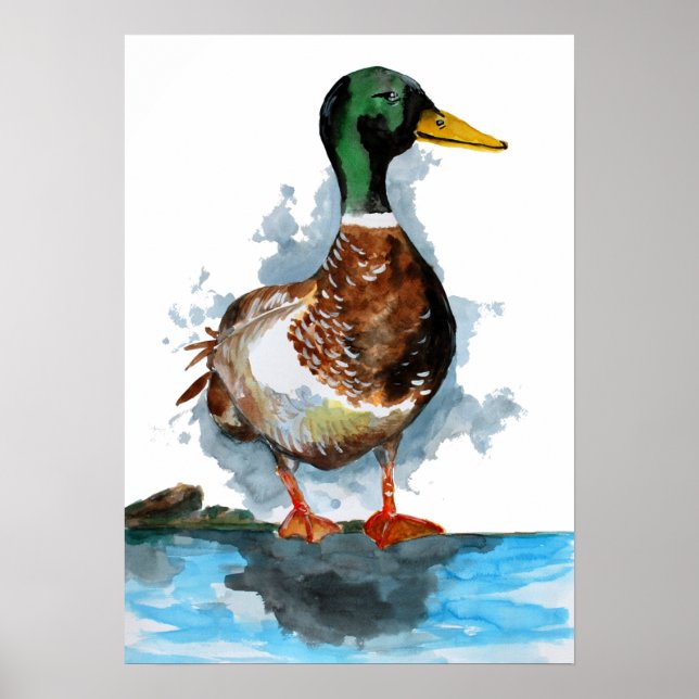 Mallard Duck Watercolor Poster (Front)