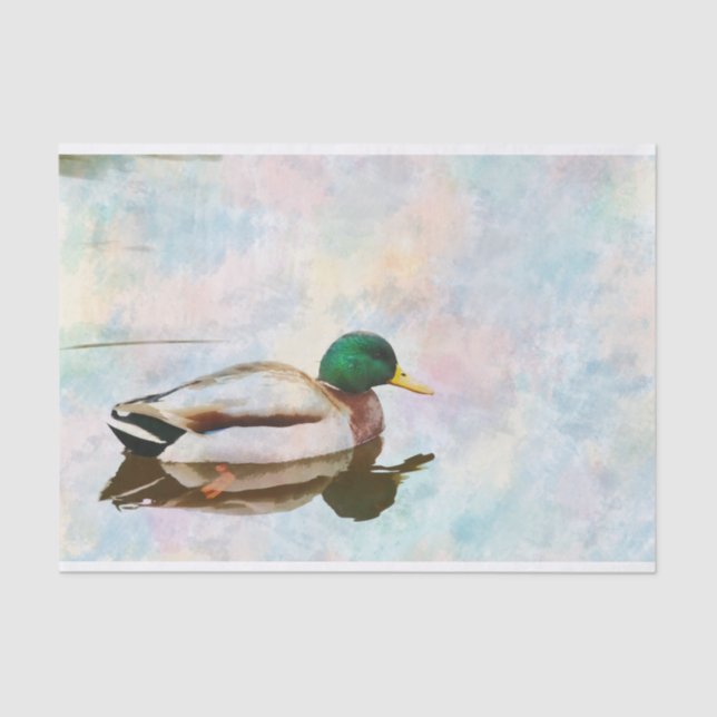 Mallard Duck Watercolor Tissue Paper (Front)