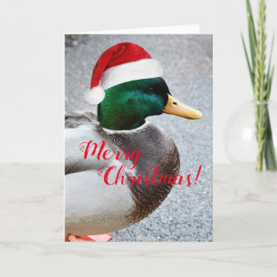 Mallard Duck Wearing Red Santa Hat Holiday Card