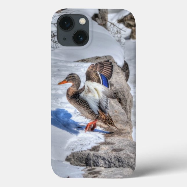 Mallard Duck Wildlife Photo for Bird-lovers Case-Mate iPhone Case (Back)