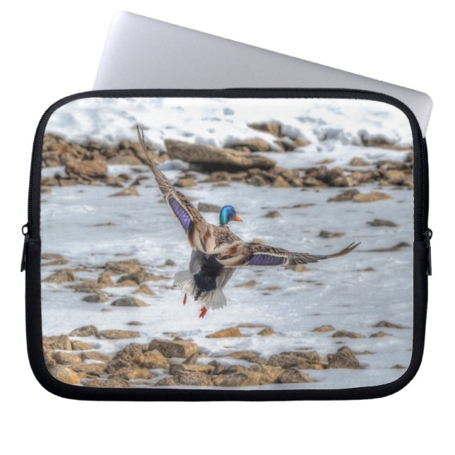 Mallard Duck Wildlife Photo for Bird-lovers Laptop Sleeve (Front)