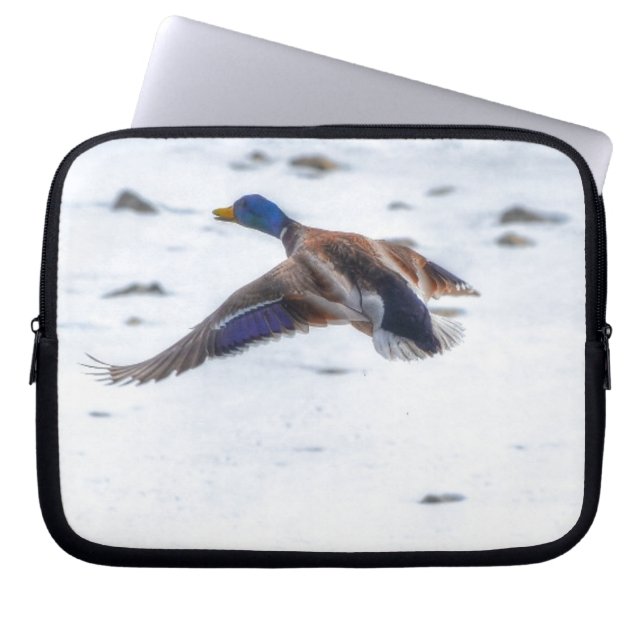 Mallard Duck Wildlife Photo for Bird-lovers Laptop Sleeve (Front)