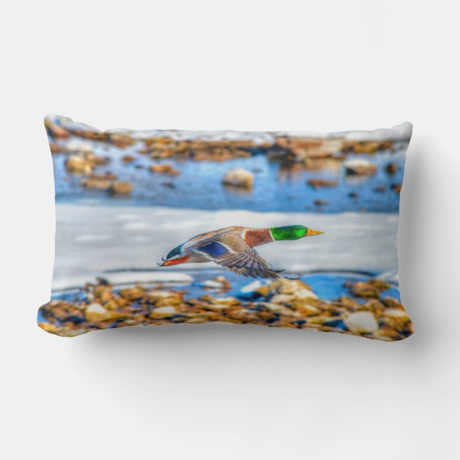 Mallard Duck Wildlife Photo for Bird-lovers Lumbar Cushion (Front)