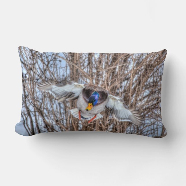 Mallard Duck Wildlife Photo for Bird-lovers Lumbar Cushion (Front)