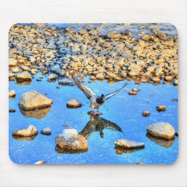 Mallard Duck Wildlife Photo for Bird-lovers Mouse Pad (Front)
