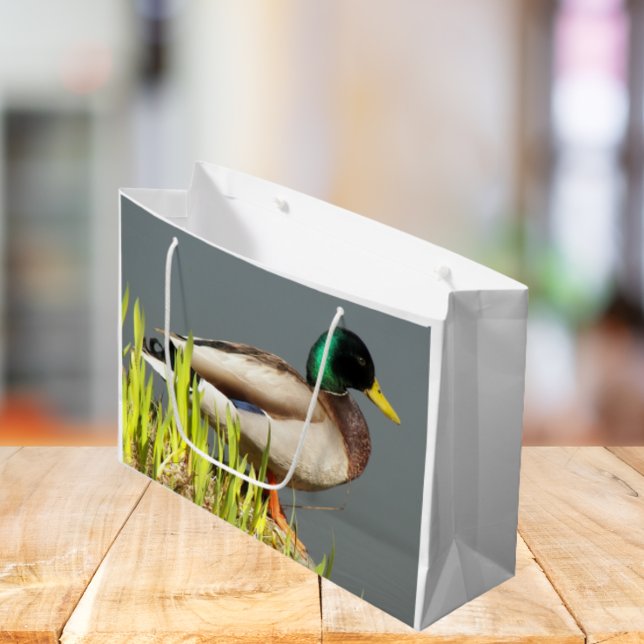 Mallard Duck Wildlife Photo Large Gift Bag (In Situ)