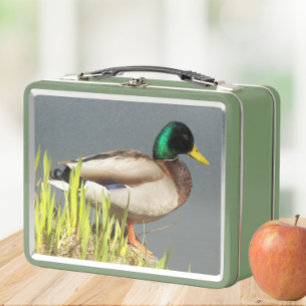 Mallard Duck Wildlife Photo Metal Lunch Box