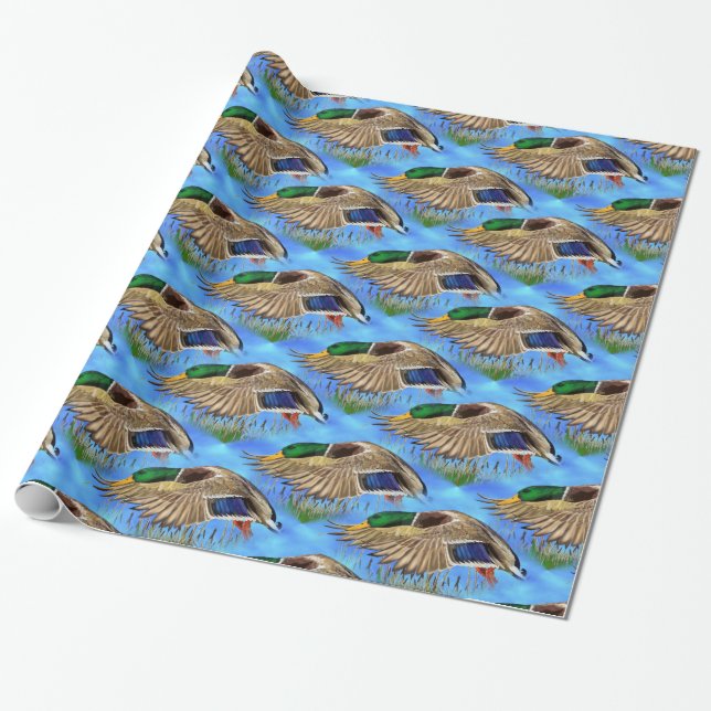 Mallard Duck Wrapping Paper (Unrolled)