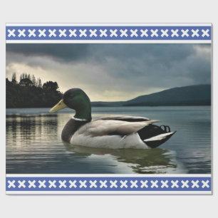 Mallard Duck  Wrapping Paper